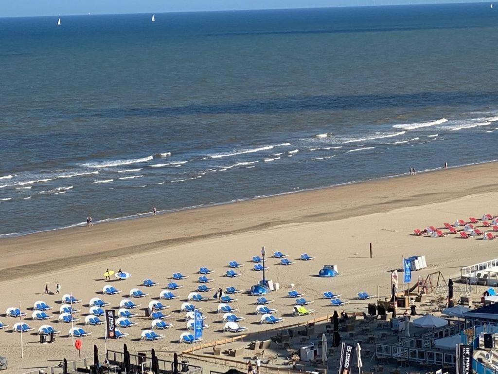 Appartement Delibas Zandvoort Exteriör bild